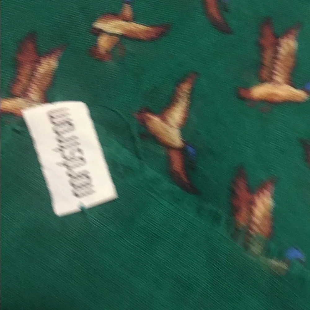 Nordstrom Green Scarf with Brown & Blue Duck Print